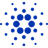 Cardano Price