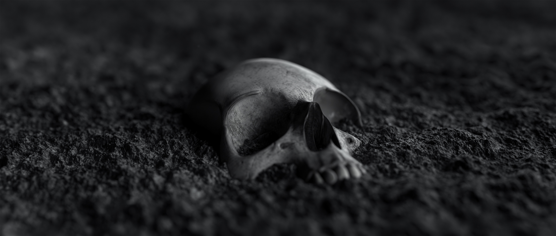 Kriptopénz temető – halott coinok, kiemelt kép