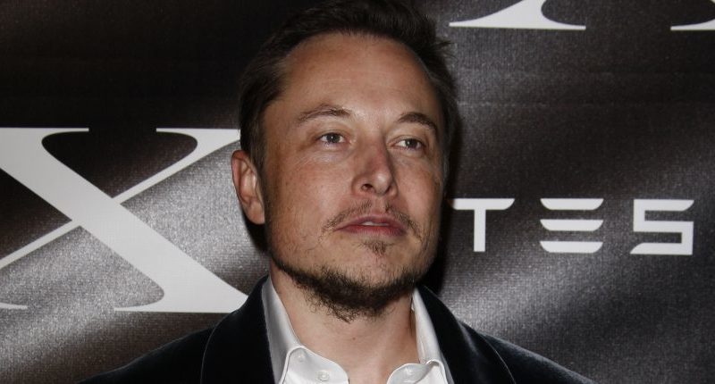 Elon Musk szerint “briliáns” a bitcoin