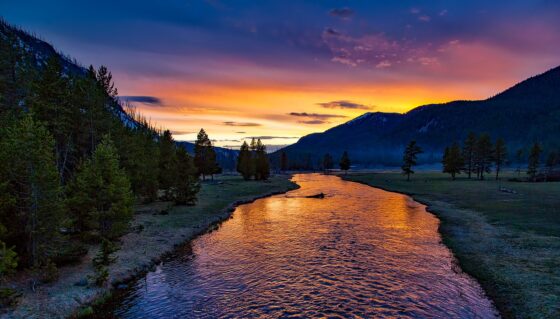 Wyoming állam pénzként ismerte el a kriptopénzeket