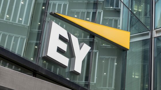 Ha más nem is, de az Ernst & Young jól keresett a Quadriga károsultakon