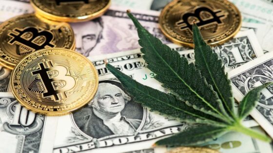 Bitcoin és biodiverzitás a kannabisz iparban: ezért lenne érdemes a kannabiszt termesztőknek átállni a bitcoinra