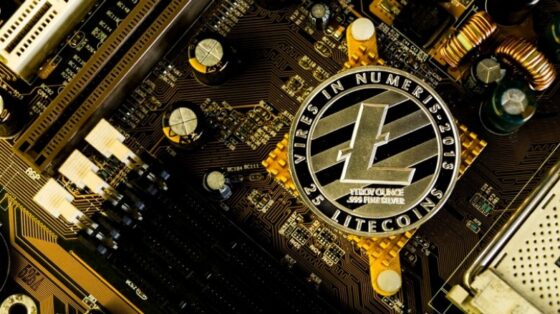 Feleződik hamarosan a Litecoin. Mi fog történni és mit kell tudnod róla