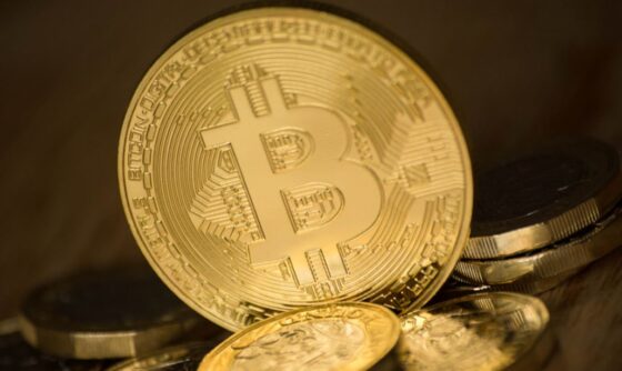 Hogyan éld túl a Bitcoin piacát 2020-ban: hasznos tippek kezdőknek