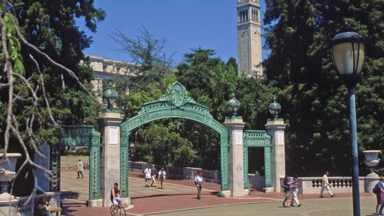 Berkeley Blockchain Xcelerator által támogatott blockchain startupok