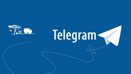 Karcsúsodik a Telegram kriptoközössége, platformot váltanak