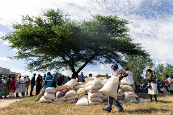 Zimbabwe valutája az összeomlás szélén, tiltják a mobilfizetéseket