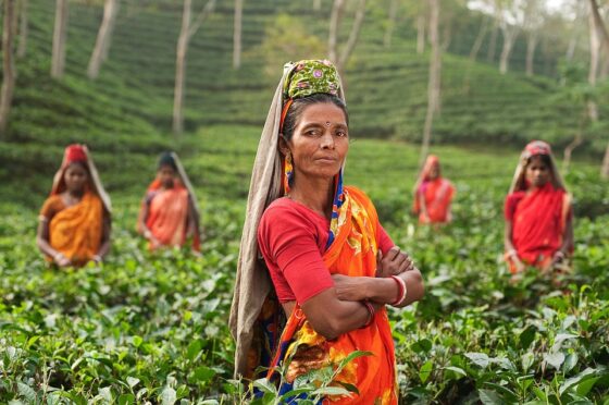 India és Srí Lanka sokkal inkább ki vannak téve a kibertámadásoknak