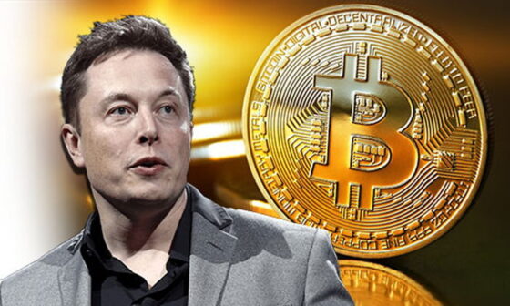 Lenyűgöző közös dolog a Bitcoin és Elon Musk között