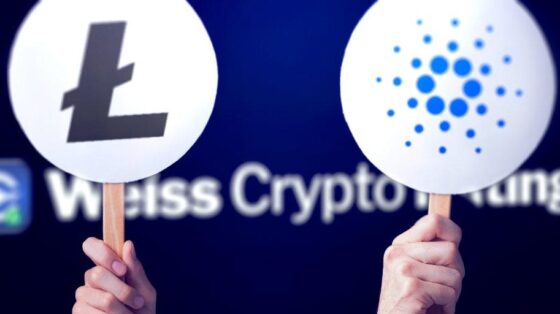 A Cardano és a Litecoin blokkláncok közötti átjárhatóság megvalósítható