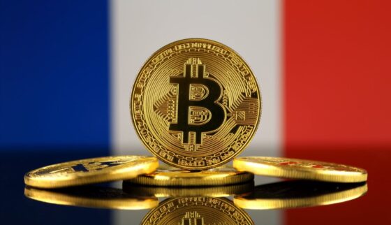 A francia kormány 34 millió USD értékű Bitcoin árverését tervezi a héten