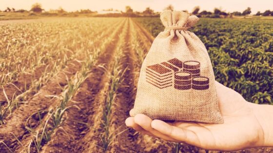 Mi az a yield farming a DeFi-ben és hogyan működik?