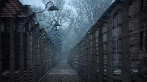 TikTok sztár lett a 97 éves hölgy, akit Bonyhádról deportáltak Auschwitzba