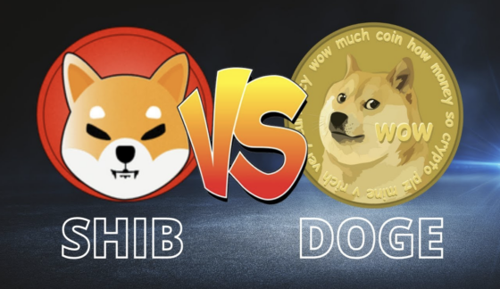 Shiba Inu vs Dogecoin: ki lesz a falkavezér?