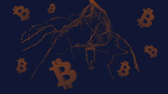 Hajnalban megérkezett a Bitcoin régóta várt frissítése, a Taproot