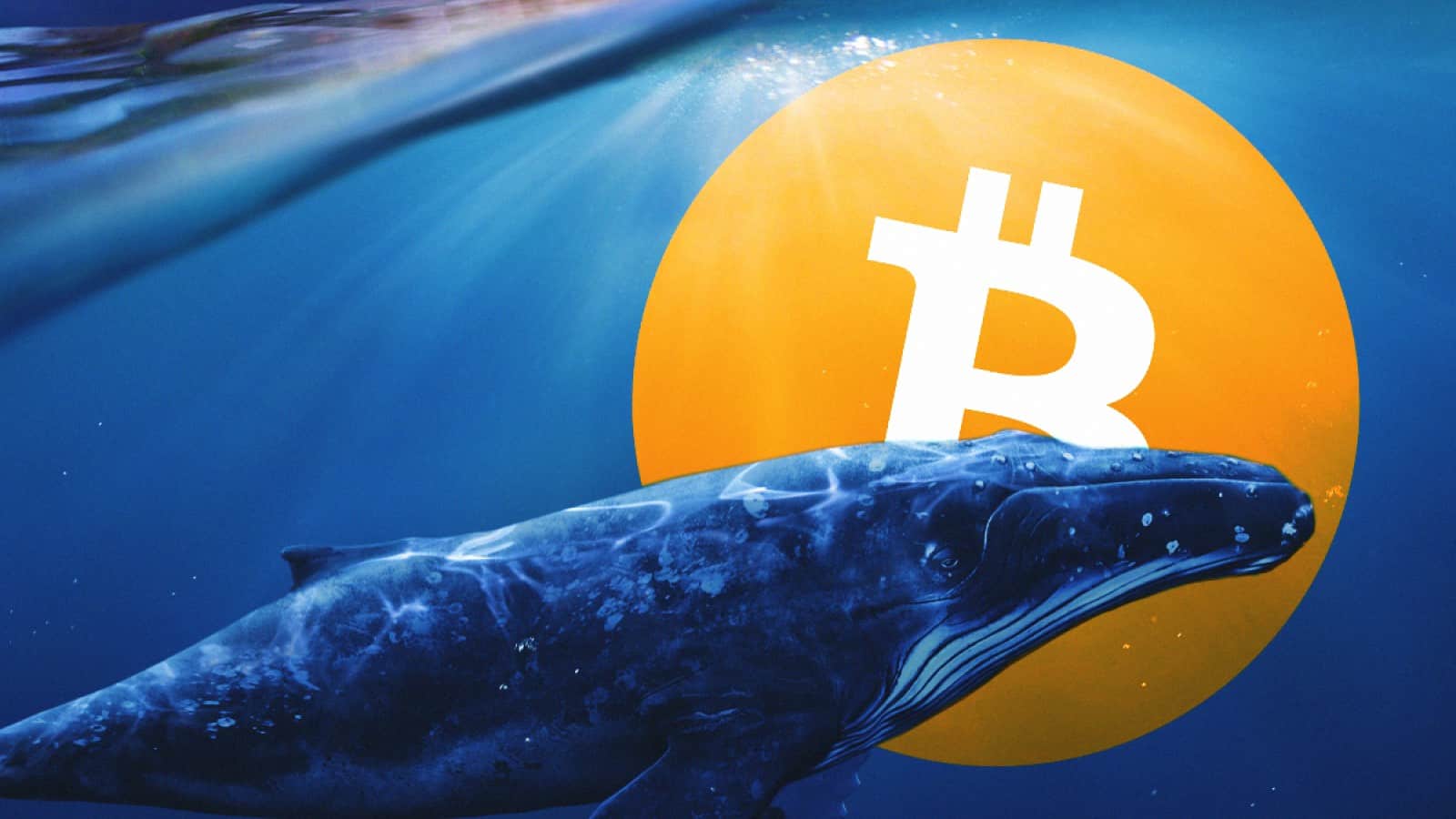 Szokatlan tevékenységet észleltek a Bitcoin bálnák körében, aggódnak az elemzők, kiemelt kép