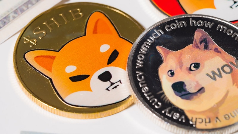 Dogecoin Shiba Inu Wall Street farkasa