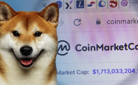 A Shiba Inu szélhámossággal vádolja a CoinMarketCap platformot