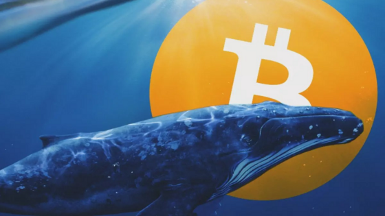 Egy bálna 11 éve szunnyadó bitcoinokat mozgatott