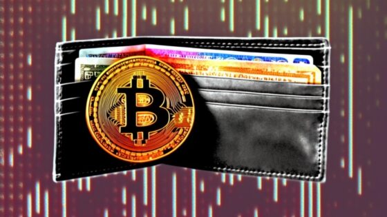 Bitcoin tárcák: biztonságos megoldások digitális vagyonod mobilos és számítógépes tárolására