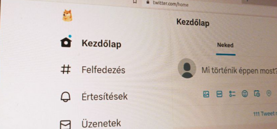 Nem viccelünk: Doge mémre váltott a Twitter logója