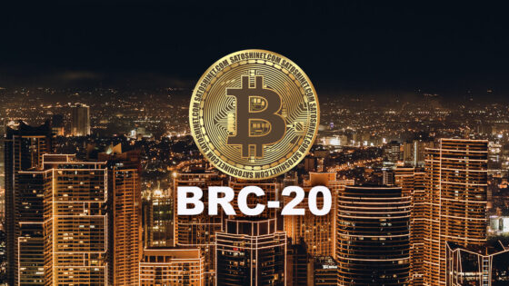 Egyre több kriptotárca támogatja a BRC-20 token standardot