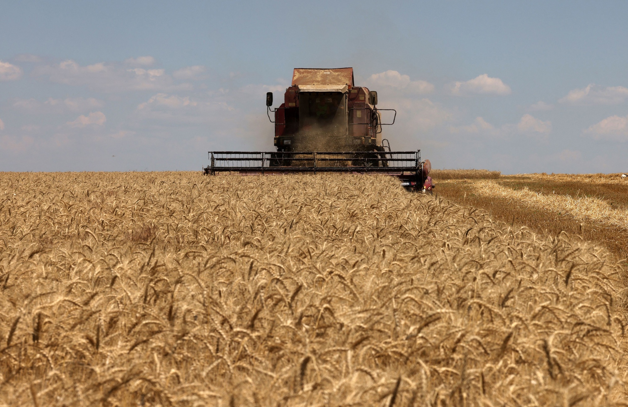 Ezek az országok szenvednek leginkább az ukrán gabonaszállítás elmaradása miatt, kiemelt kép