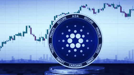 Szárnyal a Cardano: közel 30%-ot emelkedett 1 nap alatt