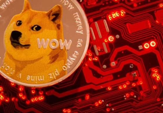 Mibe fektess idén? Az elemzők a Pushd, a Shiba Inu és a Cardano mellett döntenek