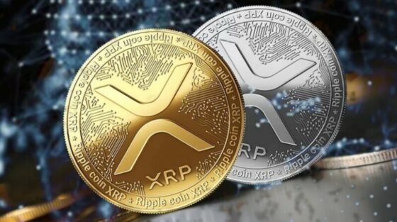 Elemzők szerint a PUSHD jobb választás, mint a SHIB és az XRP