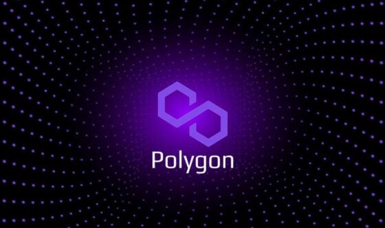 Míg a Polygon oldalazik, addig a Stellar és a Pushd virágzik