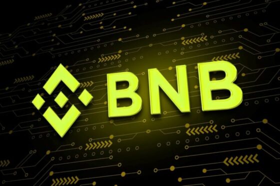 Már több mint 500 millió aktív cím érhető el a Binance saját hálózatán