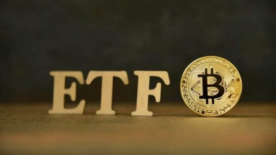 A Mt. Gox kifizetések ellenére 30 napos csúcsra ért a spot Bitcoin ETF beáramlás