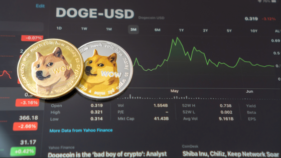 Egy Dogecoin bálna KLXO-ba fektet a Toncoin árfolyamesésének közepette