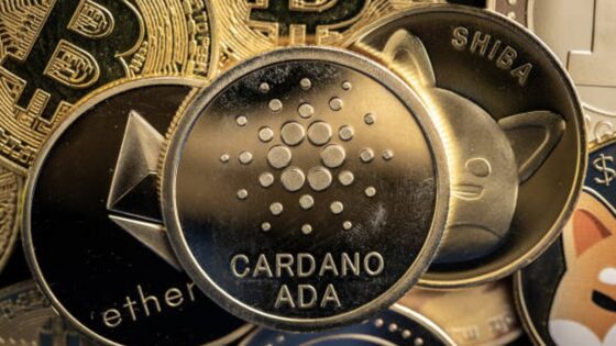 A volatilitás csúcsán a Cardano és Polygon közössége a Fezoo Exchange előértékesítését rohamozza