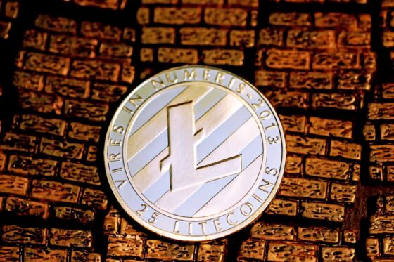 A Raffle Coin előértékesítése felkeltette a Litecoin és a Cardano befektetők érdeklődését