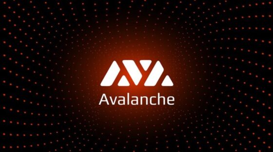 A PUSHD előértékesítése az Avalanche és a Cardano tulajdonosait is vonzza