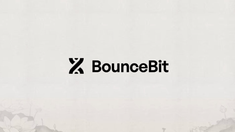 Elindul a BounceBit fő hálózata, érdemes óvatosnak lenni!, kiemelt kép
