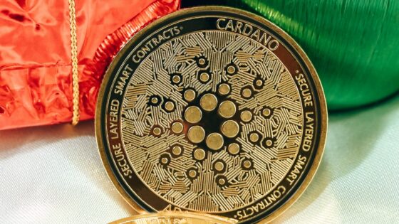 Fejlesztések szempontjából az egyik legaktívabb a Cardano hálózata