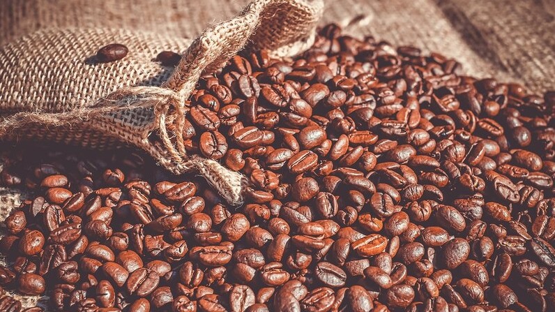 Veszélyben a globális kávétermesztés?, kiemelt kép