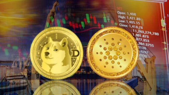 Egy okos kriptobálna a Dogecoin és Cardano tokenek mellett ezt az Ethereum tokent vásárolta