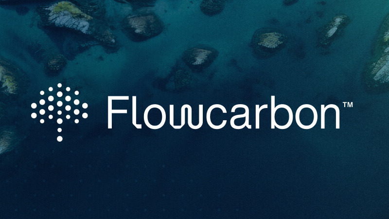 Flowcarbon: A meghiúsult token ötletgazdája több millió dollárt fizetett vissza a befektetőknek, kiemelt kép