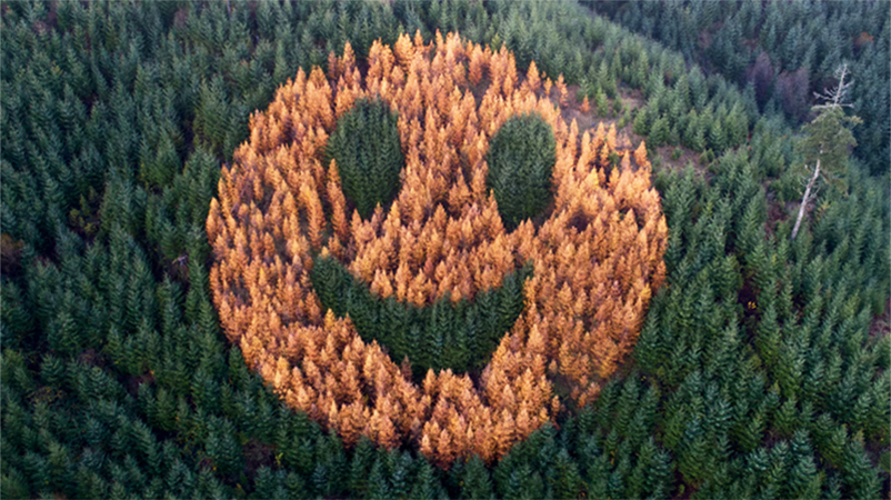 90 méteres mosolygós smiley tűnik fel minden ősszel egy oregoni domboldalon, kiemelt kép