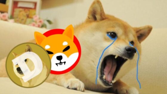 Ez a 0,000667 dolláros kriptovaluta túlszárnyalhatja a DOGE-t és a SHIB-et is!