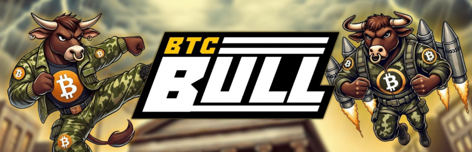 BTC Bull Token